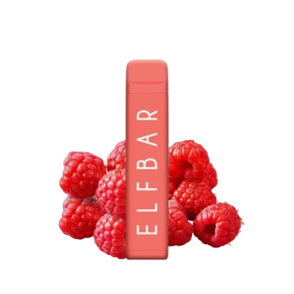 Raspberry ELFBAR NC600