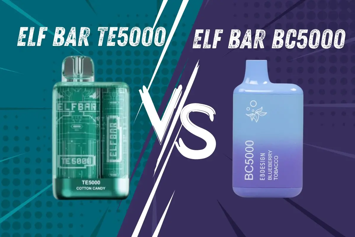 Elf Bar TE5000 vs. BC5000: Die 6 wichtigsten Unterschiede